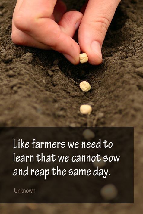 Daily Quotation for May 31, 2015 #quote #quoteoftheday Like farmers we need to learn that we cannot sow and reap the same day. - Unknown Farmers Day Quotes, Farmers Quotes, Farmers Quotes Inspiration, Agriculture Quotes Inspiration, Quotes About Agriculture, Quotes About Farming, Farmer Quote, Farmer Sayings Quote, Ag Quotes