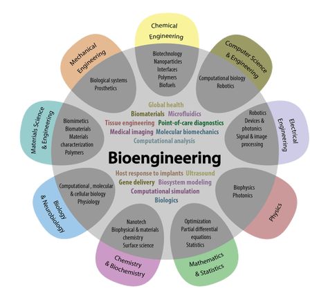 Medical Technologist, Computational Biology, Microbiology Lab, Medical Engineering, Tissue Engineering, Nursing School Motivation, Environmental Scientist, Medical Laboratory Science, Computer Science Engineering