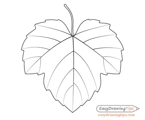 How to Draw Grapes Step by Step Tutorial - EasyDrawingTips Leaf Drawing Simple, Fall Leaves Drawing, Grape Drawing, Leaf Sketch, Drawing Leaf, Grapevine Leaf, Wine Leaves, Vine Drawing, Leaves Sketch