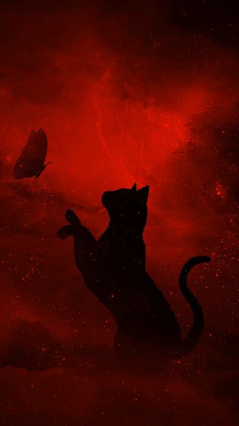 Red Cat Wallpaper Aesthetic, Red Cat Wallpaper, Red Cat Aesthetic, Group Of Cats, Black Cat Aesthetic, Black Cat Painting, Red Aesthetic Grunge, Fall Cats, Cat Dark