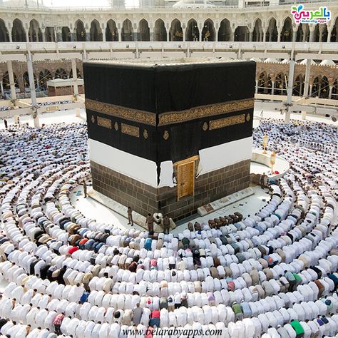 Hajj Images, Hajj Pilgrimage, Medina Mosque, Masjid Al Haram, Makkah, Mecca, Pilgrimage, Spiritual Journey, Premium Photo