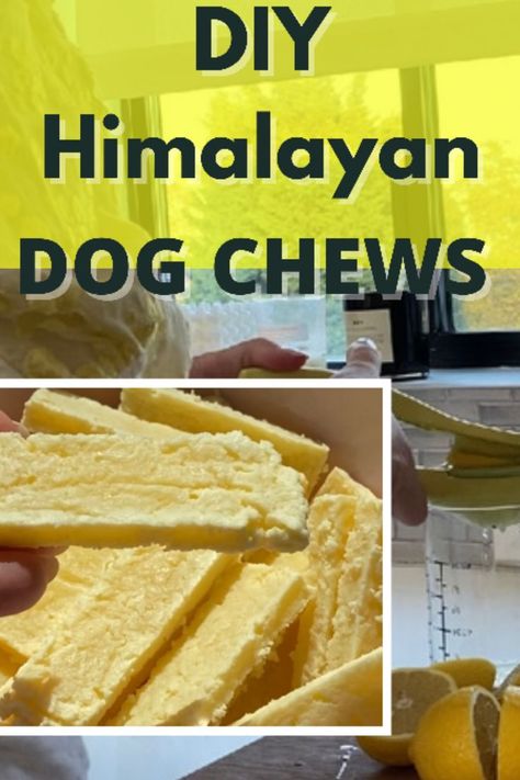 Himalayan Dog Chew Recipe Yak Dog Chews, Homemade Yak Chews For Dogs, Himalayan Dog Chew Recipe, Dog Bone Recipe Homemade, Homemade Dental Chews For Dogs, Diy Dog Chews, Homemade Dog Chews, Dog Dental Chews, Dog Treat Recipe