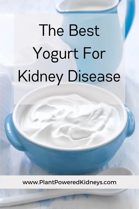 Carbquik Recipes, Ckd Recipes, Kidney Healthy Foods, Yogurt Diet, Kidney Diet Recipes, Kidney Friendly Recipes Renal Diet, Low Protein Diet, Yogurt Benefits, Kidney Friendly Diet