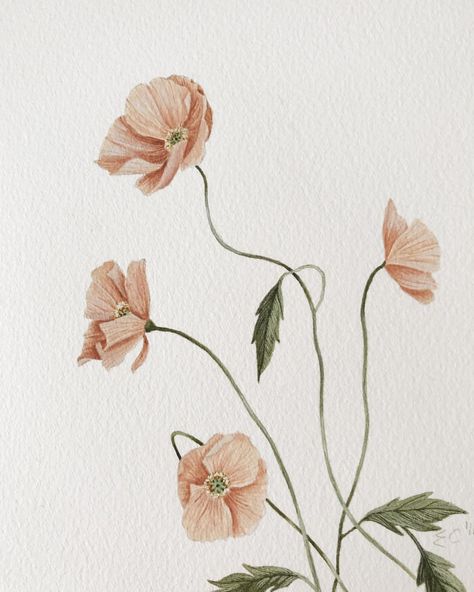 Watercolor Icelandic poppies for my 2019 botanical calendar! I’m always so excited when I get started on the first pieces of artwork for… Botanical Calendar, Poppy Tattoo, Icelandic Poppies, Poppy Drawing, Kids Room Murals, Poppies Tattoo, Beachy Boho, Abstract Canvas Painting, Kids Rooms