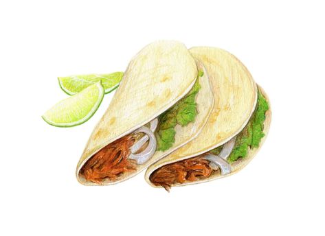 Tacos Illustration Handi Snacks, Taco Art, Taco Drawing, Vegan Hot Dog, Chicken Illustration, Food Sketch, Soft Tacos, Watercolor Food, Food Drawings