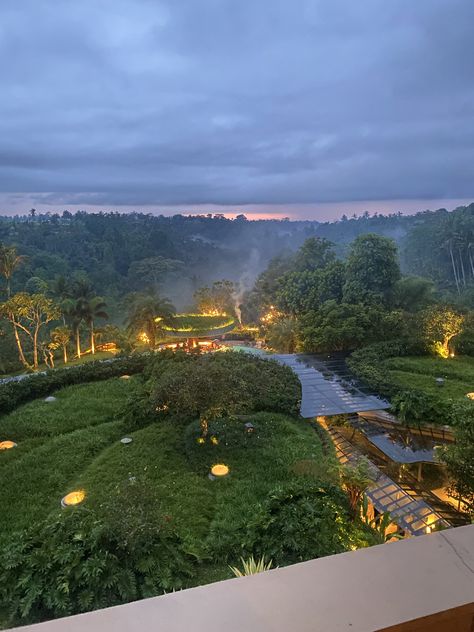 Bali forest resort! so relaxing Bali Forest, Forest Resort, Ubud, Bali, Forest, Restaurant