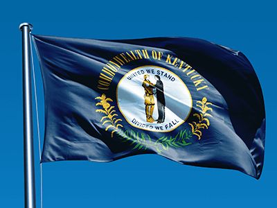 Kentucky State Flag, Kentucky Flag, Random Trivia, Frankfort Kentucky, Fun Facts For Kids, Kentucky State, Facts For Kids, State Flags, Life Facts