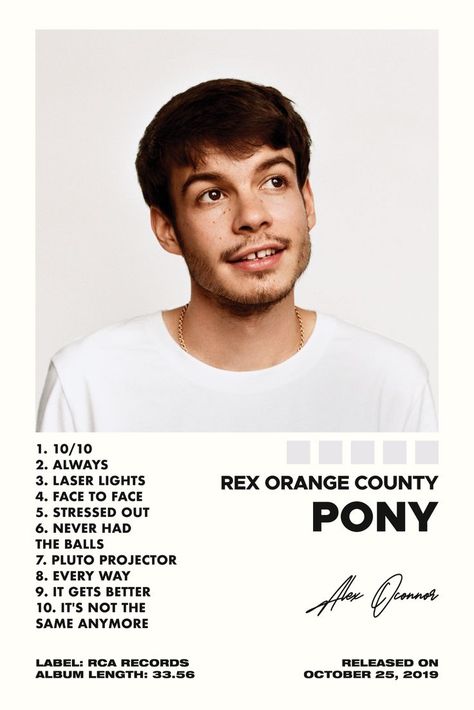 Rex Orange County Album Cover, Rex Orange County Poster, Music Bedroom Decor, Music Bedroom, Song Posters, Rex Orange County, Rex Orange, Album Posters, Plexi Glass