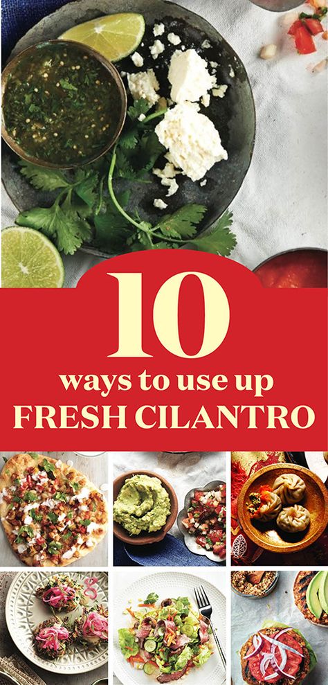 10 easy ways to use up fresh cilantro || If you love this earthy herb, you buy it by in big bunches like us. Here’s how to make the most of your cilantro while it’s fresh (and not let any go to waste). Recipes Using Cilantro Dinners, Ways To Use Cilantro, Recipes For Cilantro, Cooking With Cilantro, What To Make With Cilantro, Things To Make With Cilantro, Recipes That Use Cilantro, What To Do With Extra Cilantro, Meals With Cilantro