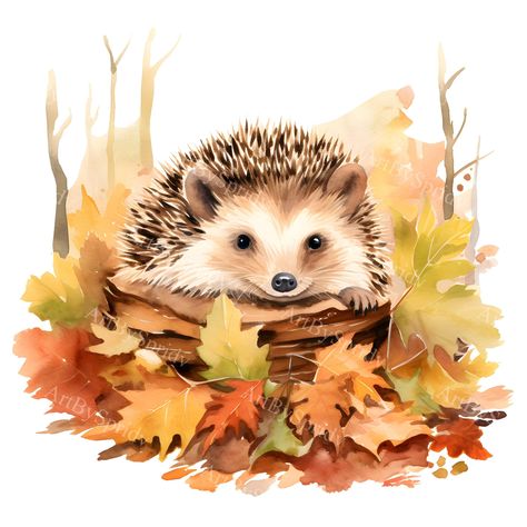 Autumn Clip Art, Autumn Animals Drawing, Animals In Autumn, Fall Animal Illustrations, Autumn Hedgehog Illustration, Autumn Fox Illustration, Hedgehog Illustration, Leaf Clipart, Cute Hedgehog