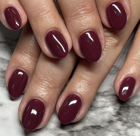 Maroon Simple Nails, Winter Nails Plain Colour, Short Round Burgundy Nails, Mauve Short Nails, Nailpolish Inspo Short Nails, Dark Red Round Nails, Maroon Gel Nails Design, Oval Burgundy Nails, Pretty Nails Classy Short