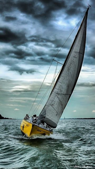 Photo                                                                                                                                                     More Sailboat Racing, Navi A Vela, Sailing Vessel, Sail Boats, Boat Art, Yacht Boat, Tall Ships, Sailing Yacht, Sailboats