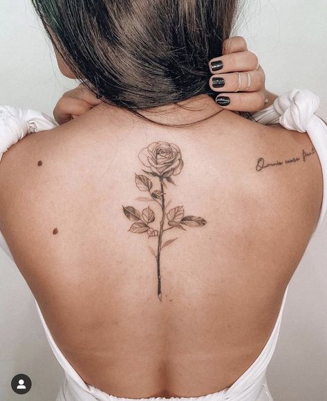 Back Rose Tattoo, Tattoos On Women, Back Tattoo Ideas For Women, Crohns Tattoo, Back Tattoos For Women, Rose Tattoo On Back, Fenrir Tattoo, Back Tattoo Ideas, Cool Back Tattoos