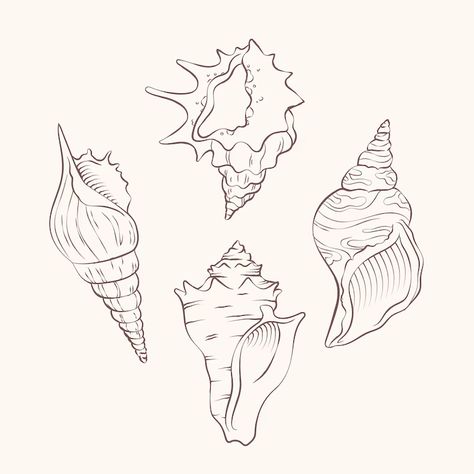 How To Draw Seashells, Drawing Seashells, Seashells Drawing, Seashell Outline, Seashell Drawing, Iphone Decor, Vip Ticket, Shell Drawing, Seashell Tattoos