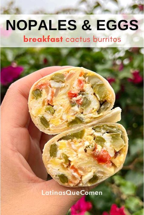 Nopales Recipes Mexican Breakfast, Cactus Recipe Mexican, Cactus Food Ideas, Cactus Recipe Nopales, Nopales Benefits, Nopales Recipes Mexican, Nopales Recipes, How To Cook Nopales, Cactus Recipes