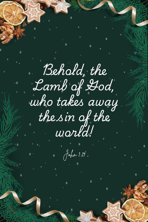 Lamb of God; Christmas Bible verse Bible Verses For Christmas, Christmas Scriptures, John 1 29, Christmas Bible Verse, Christmas Scripture, Christmas Bible Verses, Christmas Bible, Inspirational Quotes Wallpapers, Quotes Wallpapers