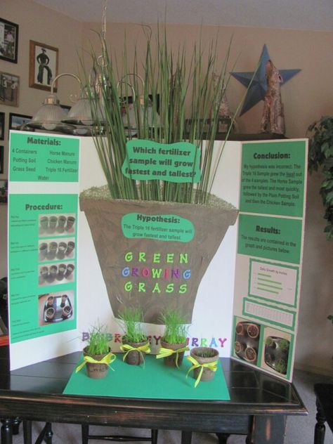 Classroom Science Fair Projects, Scientific Method Science Fair Projects, Agriculture Science Fair Projects, Steam Fair Projects For Kids, Science Fair Projects For 4th Graders, Plant Science Fair Projects Boards, Science Fair Projects 3rd Grade, Science Fair Projects Boards Ideas, Unique Science Fair Projects