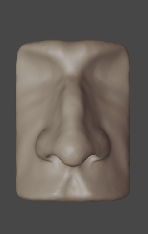 #blender Sculpture Nose, Nose Sculpting, Nose Sculpture, Clay Nose, Nose Types, Face Anatomy, Dj Images Hd, Anatomy Sculpture, Sculpture Head