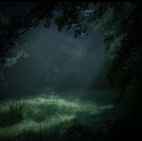 Dark Forest Aesthetics, Dark Forest Core Aesthetic, Dark Green Twilight Aesthetic, Night In The Forest Aesthetic, Twilight Woods Aesthetic, Misty Green Aesthetic, Dark Misty Forest Aesthetic, Jodiecore Aesthetic, Forest Core Wallpaper