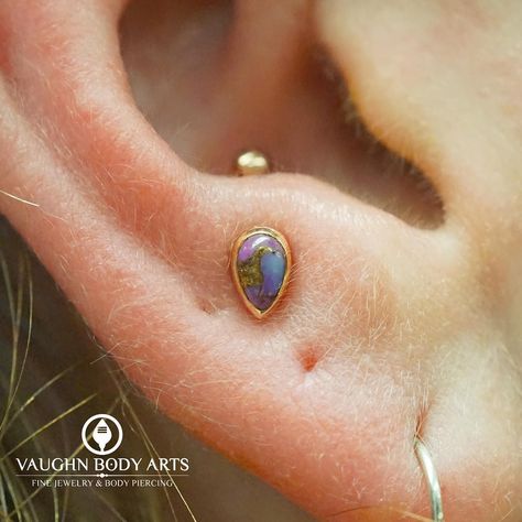 Vaughn Body Arts on Instagram: “Our wonderful client Natalie stopped in to treat herself to something new and fancy.  Cody got to do this anti-tragus piercing, and we are…” Ear Piercing Anti Tragus, Anti Tragus Piercing Hoop, Destiny Core, Piercing Anti Tragus, Surface Tragus, Anti Tragus Piercing, Ear Peircings, Snug Piercing, Tragus Ring