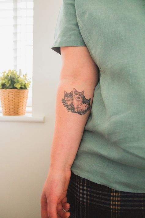 Three Cat Tattoo on Forearm Three Cat Tattoo Design, Three Cat Tattoo, Cat Forearm Tattoo, Three Cats Tattoo, 3 Cat Tattoo, My 18th Birthday, Round Tattoo, Tattoo On Forearm, Circle Tattoos