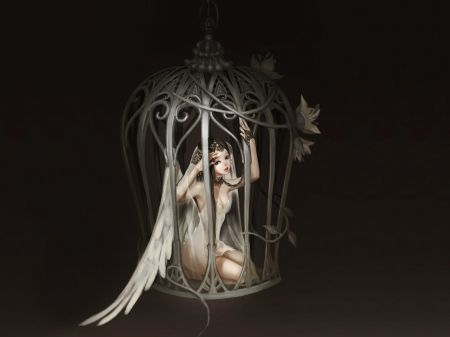 Caged Angel - wings, anime, sad, cage, angel, caged Angel Illustration, Angel Wallpaper, Mood Wallpaper, Fairies Elves, Angel Pictures, Mystical Creatures, Anime Angel, Bird Cage, Flowers In Hair