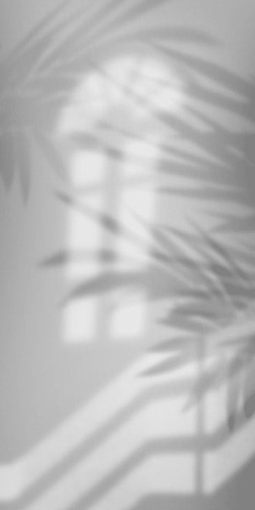 light through stair and palm leaves shadow background Leaves Shadow, Shadow Background, Money Background, Shadow Plants, Background Style, Wedding Logo Design, Paper Background Design, Natural Background, Wallpaper Image