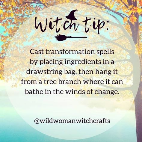 Witch tip for transformation spells Transformation Spell, Spelling Online, Witchy Tips, Green Witchcraft, Online Psychic, Spell Casting, Witch Spirituality, Magic Spell Book, Magick Spells