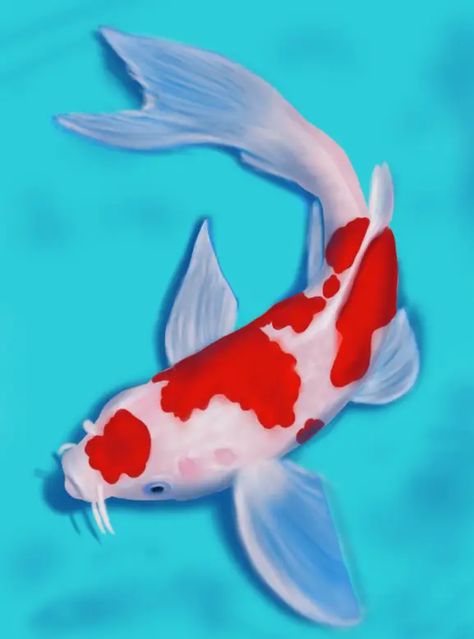 Learn How to Draw a Koi Fish (Fishes) Step by Step : Drawing Tutorials Diwali Drawing, Ikan Air Tawar, Coy Fish, Koi Painting, Koi Fish Drawing, Fish Drawing, Ikan Koi, Koi Art, Drawing Sheet