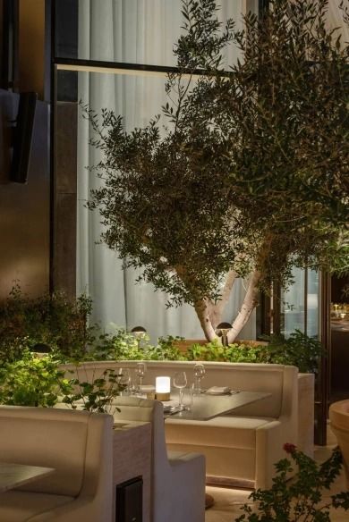 Duomo Italian Restaurant | LW Design Group | Media - Photos and Videos | Archello Dubai Country, Dubai Market, Oak Timber Flooring, The Burj Khalifa, Hotel Facade, Tropical House Design, Edition Hotel, Restaurant Flooring, Sky Garden