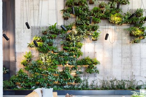 Accentuating the lobby of the eco-conscious 1 Hotel Brooklyn Bridge is a 25-foot, vertical living wall that blends industrial motifs with natural elements. Living Green Walls, Vertikal Garden, Plant Installation, نباتات منزلية, 1 Hotel, Interior Plants, Floral Shop, Steel Buildings, Wall Installation