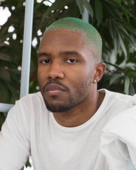 frank ocean Hangout Music Festival, Ocean Hair, Shaved Hair Designs, Men Hair Color, Shaved Head, Frank Ocean, Shaved Hair, Story Instagram, Green Hair