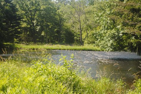 Meadow With River, Nature Aesthetic Horizontal, Green Aesthetic Horizontal, Paisajes Aesthetic Horizontal, Creek Aesthetic, Nature Appreciation, Debut Era, Lucy Score, Mind Palace