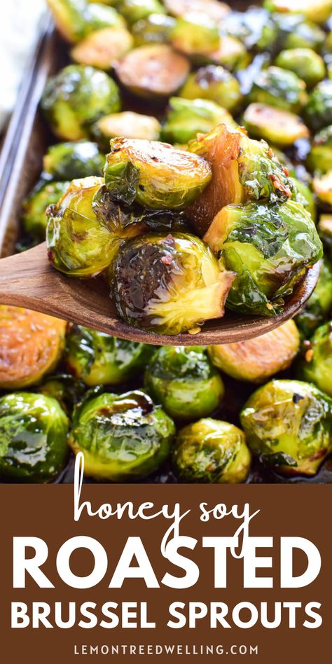 Honey Brussel Sprouts, Brussel Sprouts Recipes Easy, Roasted Brussel Sprouts Oven, Soy Glaze, Brussel Sprout Recipes Roasted, Roasted Sprouts, Vegetable Side Dishes Recipes, Roasted Brussel, Honey Soy