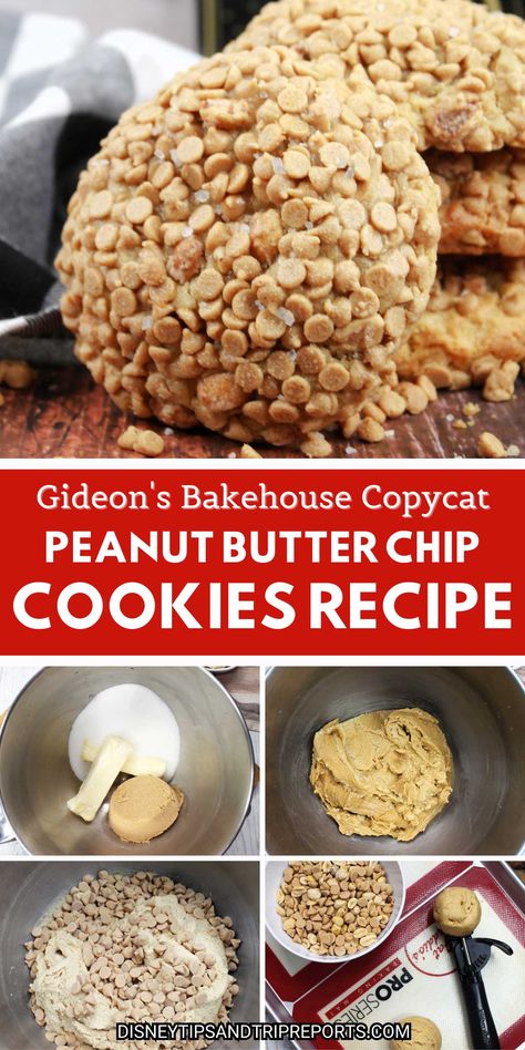 Enjoy Gideon's Bakehouse cookies without going to Disney Springs. Try this Gideon’s Peanut Butter Crunch Cookies Copycat Recipe. Click to get the recipe on DisneyTipsAndTripReports.com! Gideons Bakehouse Peanut Butter Crunch Cookie Recipe, Disney Peanut Butter Cookies, Gideons Bake House Copycat, Gideons Copycat Recipes, Gideons Bakehouse Cookie Recipe Peanut Butter, Gideons Bakehouse Copycat, Gideons Peanut Butter Cookie Recipe, Gideons Copycat Cookies, Gideon’s Bakehouse Copycat Recipe