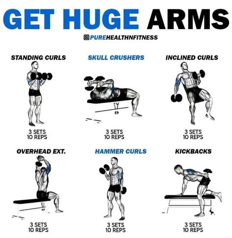 Bigger Arms Workout Men Dumbells, Exercise For Bigger Arms, Men Arm Workout Gym, Men’s Bicep Workout, Insane Arm Workout, Arms Workout Dumbell, Dumbell Arm Workout For Men, Best Arm Workouts For Men, Full Arm Workout Men