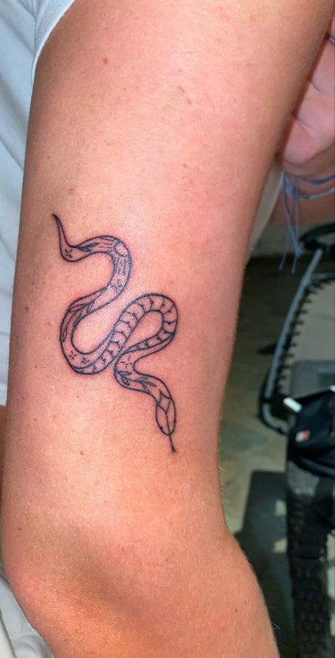 Fineline Snake Tattoo, Snake Plant Tattoo, Python Tattoo, Royal Python, Black Headed, Rat Snake, Snake Tattoo Design, Plant Tattoo, Thessaloniki Greece