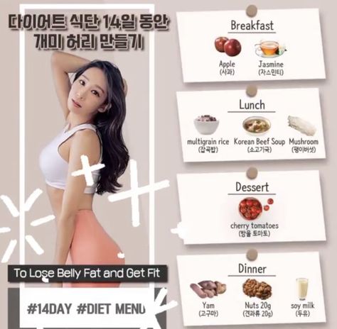 Shirlyn Kim Diet Plan, Korean Diet Meal Plan Kpop, Diets Kpop, Kpop Idol Diet, Korean Diet Meal Plan, Kpop Diets, Celebrity Diets Plan, Chic Diet, Asian Diet