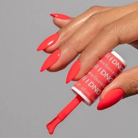 DND DUO - Gel Polish & Matching Nail Lacquer - Guava #811 | eBay Uñas Color Coral, Dnd Gel Nail Polish, Coral Nail Polish, Dnd Gel Polish, Coral Nails, Uv Gel Nail Polish, Gel Nail Colors, Vacation Nails, Gel Polish Colors