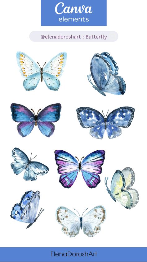 Watercolor cute blue butterfly #colorful #watercolor #butterfly #canva #clipart #blue #babyshower Monarch Butterfly Watercolor, Carolyn Gavin, Keyword Elements Canva, Butterfly Artwork, Blue Morpho Butterfly, Artfully Walls, Morpho Butterfly, Blue Morpho, Butterfly Illustration