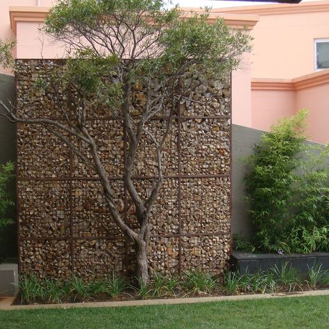 Gabion wall for privacy | Badec Bros Group | Flickr Garden Feature Wall, Gabion Walls, Design Therapy, Gabion Fence, Fence Plants, Glass Fence, Gabion Wall, Concrete Fence, Building A Fence