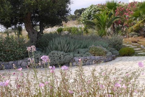 Mediterranean Plants, Fire Pit Seating, Dry Garden, Garden Maintenance, Low Maintenance Garden, Landscape Services, Mediterranean Garden, Blue Garden, Spanish House