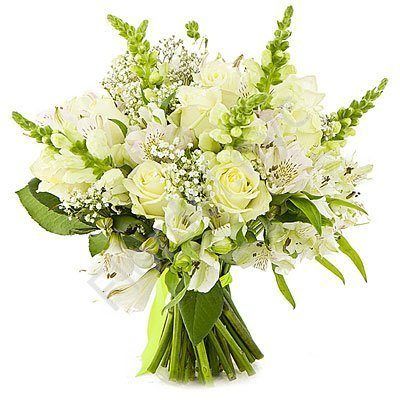 Snapdragon white bouquet White Snapdragon Flowers, Snapdragon Bouquets, Wedding Flowers Snapdragons, White Snapdragon Bouquet, Snapdragon Bouquet, Snapdragon Wedding, Snapdragon Bridal Bouquet, White Snapdragon, Ivory Bridal Bouquet