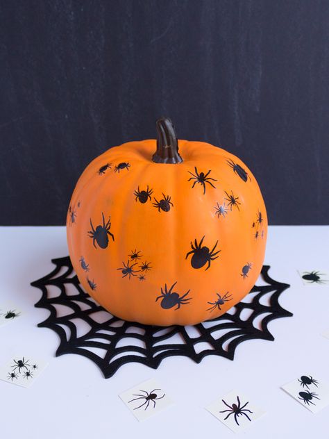 5 Super Cute Spider Pumpkin Ideas | Fun365 Painted Spider Pumpkin, Pumpkin Painting Ideas Spider, Spider Pumpkin Painting, Spiderweb Pumpkin, Butterfly Pumpkin, Calabazas Halloween, Pumpkin Paintings, Paint Pumpkins, Creative Pumpkin Painting