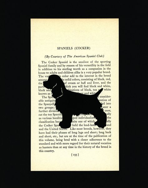 American Spaniel, Hotel Artemis, Spaniel Silhouette, English Cocker Spaniel Puppies, Cocker Spaniel Breeds, Cocker Spaniel Puppy, Black Cocker Spaniel, Spaniel Breeds, Spaniel Art