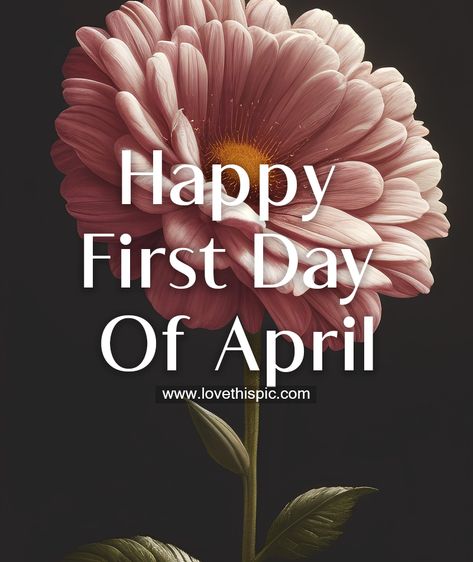 First Day Of April Quotes, April Pictures Month, 1st April Quotes, Happy New Month April Quotes, April First Quotes, Happy April 1st Quotes, Happy April Quotes, April 1st Quotes, Happy New Month Of April