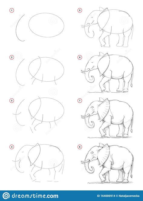 How to draw from nature step by step sketch of African elephant. Creation pencil drawing. Educational page for artists.. Illustration about learn, black, consequentially - 164006914 Draw Nature, How Draw, Step By Step Sketches, Elephant Sketch, Ancient Drawings, Pencil Drawing Tutorials, Drawing Tutorials For Beginners, Elephant Drawing, Drawing Tutorial Easy