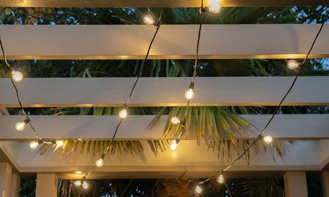 Container Door Ltd | Festoon Lights #100 Container Door, White Pergola, Festoon Lights, Romantic Dinner For Two, Romantic Dinner, Dinner For Two, Festoon Lighting, Backyard Makeover, Filament Bulb