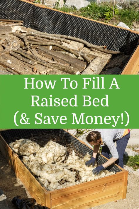 You've built your raised bed, but now what? Fill A Raised Garden Bed, Raised Garden Bed Soil, Easy Raised Garden Bed, Diy Cedar Planter Box, Greenhouse Inspiration, Garden Prepping, Healthy Soil, Raised Planter Boxes, Compost Soil