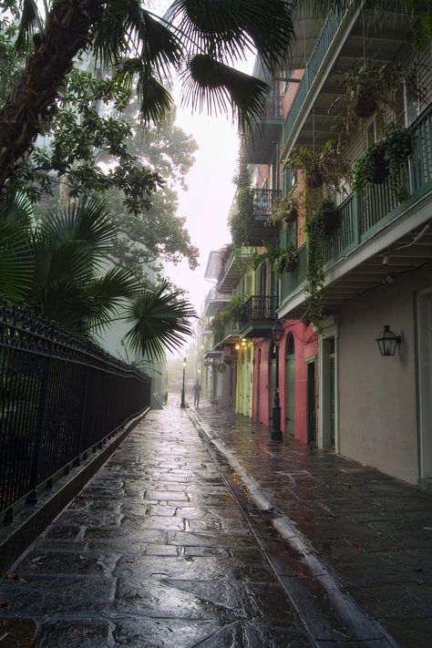 Pirates' Alley 1 by Jason Butler on 500px Terrence Loves You, French Quarter New Orleans, Square French, Louisiana Usa, New Orleans French Quarter, Jackson Square, William Faulkner, New Orleans Travel, Big Easy